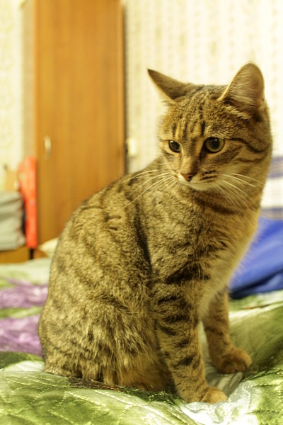 1920 X 2880 979.5 Kb  -     .