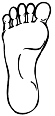 177 X 370  5.9 Kb Определяем Ваш тип стопы