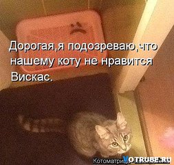 453 X 429 50.7 Kb 550 X 511 58.8 Kb Улыбнемся?