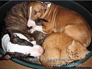 750 X 562 73.9 Kb 700 X 668 198.5 Kb Улыбнемся?