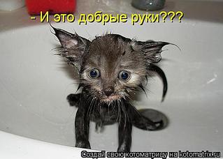 504 X 360 26.8 Kb 750 X 562 73.9 Kb 700 X 668 198.5 Kb Улыбнемся?