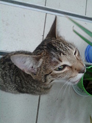 1440 X 1920 484.7 Kb -   