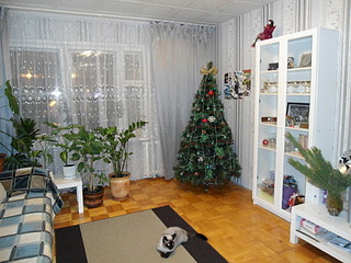 1920 X 1440 642.6 Kb продается 3х комн.квартира, ул К.Маркса, 434 (фото)