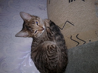 1920 X 1440 544.1 Kb 1920 X 1440 554.9 Kb -   