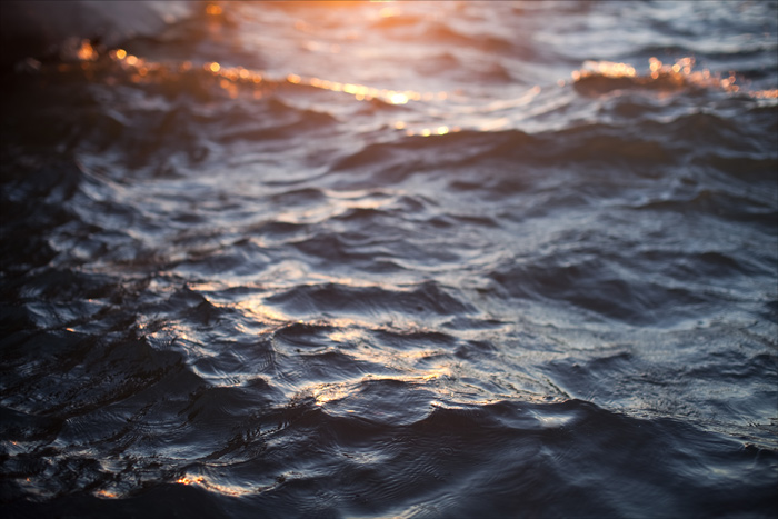700 x 467 700 x 467 700 x 467 700 x 467 700 x 467   Canon 50mm f/1.2 ()