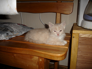 1024 X 768 285.5 Kb -  - =)