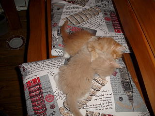 1024 X 768 360.2 Kb 1024 X 768 285.5 Kb -  - =)