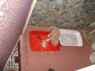 1024 X 768 351.3 Kb 1024 X 768 360.2 Kb 1024 X 768 285.5 Kb -  - =)