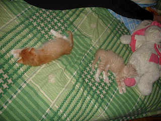 1024 X 768 377.1 Kb 1024 X 768 405.9 Kb 1024 X 768 351.3 Kb 1024 X 768 360.2 Kb 1024 X 768 285.5 Kb -  - =)