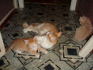 1024 X 768 355.3 Kb -  - =)