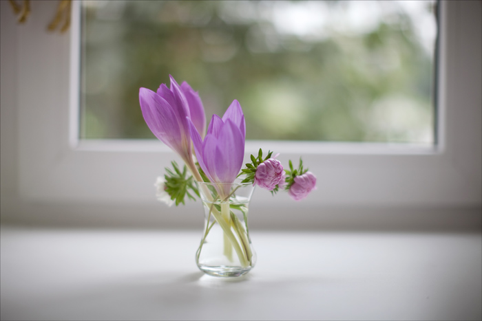 700 x 467 700 x 467 700 x 467   Canon 50mm f/1.2 ()
