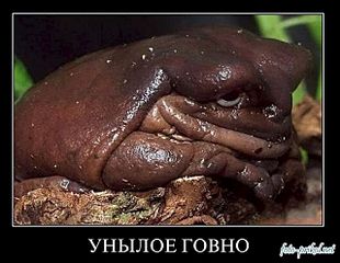 640 X 495  50.7 Kb 670 X 536  59.3 Kb        ?