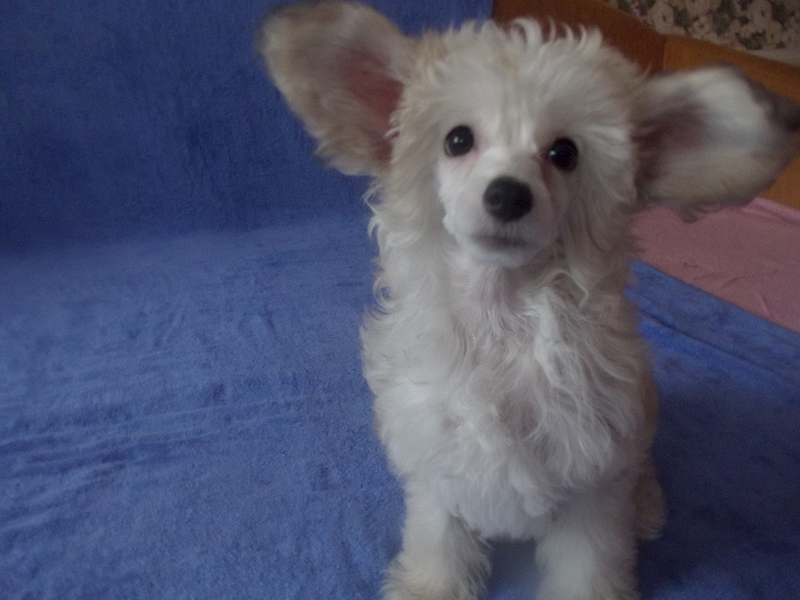 1920 X 1440 105.8 Kb     