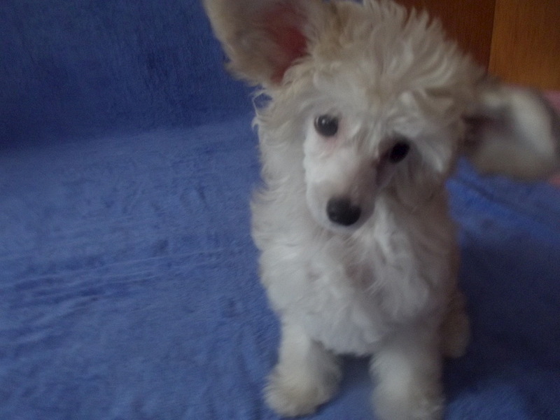 1920 X 1440  91.9 Kb     