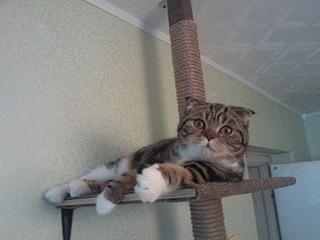 604 X 453  61.8 Kb 1920 X 2560 391.7 Kb      