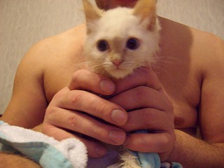 1920 X 1440 460.0 Kb   . .    !