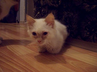 1920 X 1440 498.0 Kb 1920 X 1440 499.6 Kb   . .    !