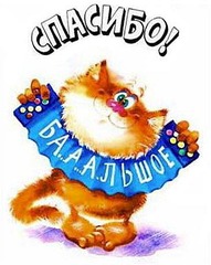 366 X 459 27.0 Kb Кошки в стационаре Ветсервиса. Нужна материальная помощь!