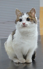 1469 X 2352 918.1 Kb  ( )  