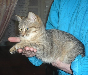 1025 X 874 322.4 Kb - (6)   