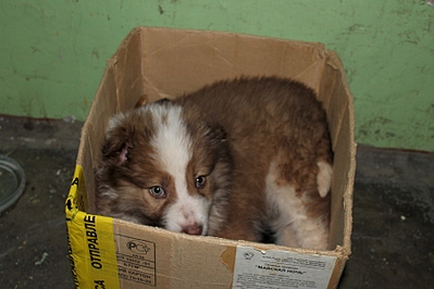 1805 X 1203 748.5 Kb 1805 X 1203 772.1 Kb   