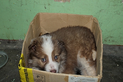 1805 X 1203 820.0 Kb 1805 X 1203 748.5 Kb 1805 X 1203 772.1 Kb   