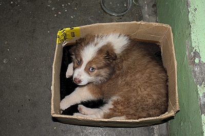 1805 X 1203 942.0 Kb 1805 X 1203 820.0 Kb 1805 X 1203 748.5 Kb 1805 X 1203 772.1 Kb   