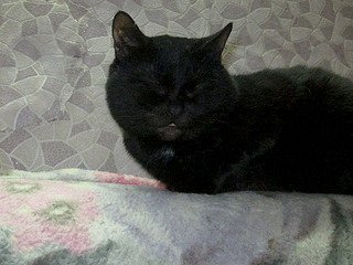 1920 X 1440 757.2 Kb 1920 X 1440 870.1 Kb    