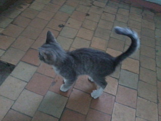 1600 X 1200 299.2 Kb    !  !