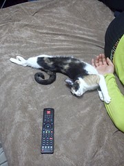 1920 X 2560 719.0 Kb ()    (6)   !