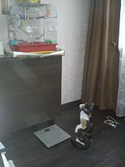 1920 X 2560 560.5 Kb 1920 X 2560 719.0 Kb ()    (6)   !