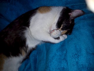 1920 X 1440 355.4 Kb 1920 X 2560 560.5 Kb 1920 X 2560 719.0 Kb ()    (6)   !