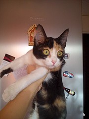 1920 X 2560 560.6 Kb 1920 X 1440 355.4 Kb 1920 X 2560 560.5 Kb 1920 X 2560 719.0 Kb ()    (6)   !