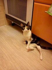 605 X 807 82.9 Kb 1920 X 2560 560.6 Kb 1920 X 1440 355.4 Kb 1920 X 2560 560.5 Kb 1920 X 2560 719.0 Kb ()    (6)   !