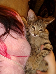 1920 X 2560 410.6 Kb 1920 X 1440 162.5 Kb -   