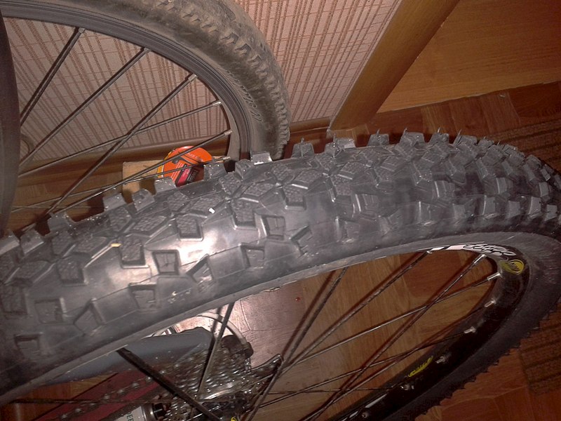 1920 X 1440 402.5 Kb     Schwalbe Smart Sam