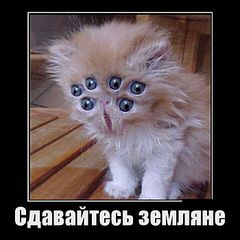 700 X 700 52.1 Kb 550 X 698 66.4 Kb 200 x 150  ?