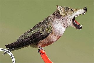 489 X 329 27.1 Kb 700 X 700 52.1 Kb 550 X 698 66.4 Kb 200 x 150  ?