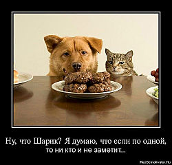 500 X 480 37.5 Kb 250 x 97 417 X 512 103.7 Kb Конкурс Угадай Форумчанина =+= Resurrection