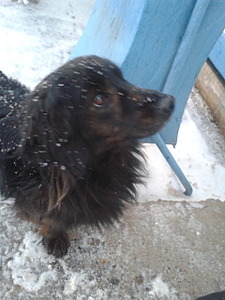 1920 X 2560 971.8 Kb 1920 X 2560 301.0 Kb    