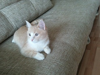 1920 X 1440 748.9 Kb 1920 X 2560 867.0 Kb 1920 X 1440 500.3 Kb      .