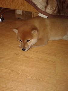 768 X 1024 133.4 Kb  -)