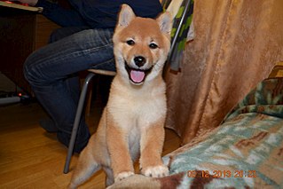 1280 X 853 150.3 Kb  -)