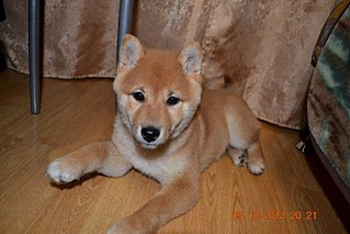 1280 X 853 168.7 Kb 1280 X 853 150.3 Kb  -)