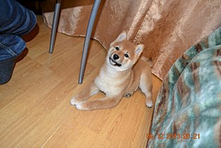 1280 X 853 214.1 Kb 1280 X 853 168.7 Kb 1280 X 853 150.3 Kb  -)