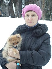 768 X 1024 112.0 Kb ЩЕНКИ ШПИЦА ! Ариша и её дети! Золотистый ретривер. Бассет- Нюша и шпиц -Рашель.