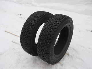 1024 X 768 256.3 Kb ������ ������ ������ R15 (���� � ���������, ����)