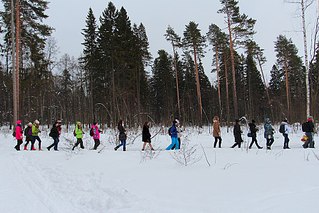 1000 X 667 182.1 Kb Фотошкола 'Фокус'. Запись на февраль-март!