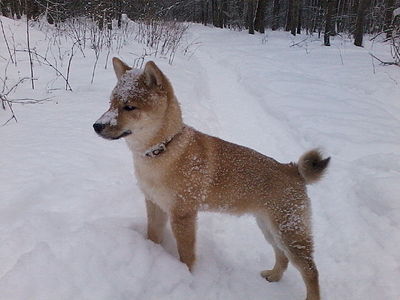 1280 X 960 167.5 Kb 1280 X 960 95.7 Kb 960 X 1280 97.2 Kb 1200 X 1600 220.0 Kb 1200 X 1600 248.3 Kb  -)