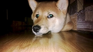 1920 X 1078 713.1 Kb  -)